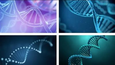 ثورة لفك شفرات الأمراض.. نشر أول خريطة كاملة للجينوم البشري