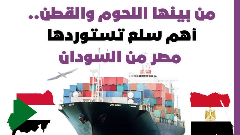 الواردات المصرية