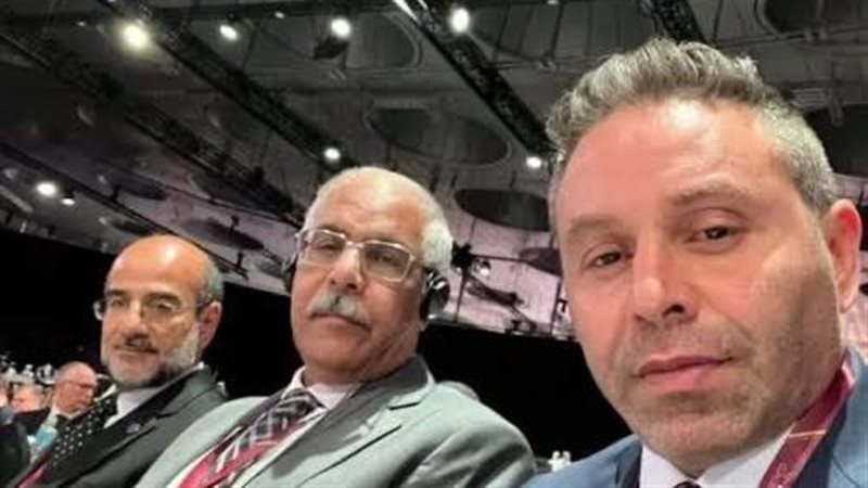 الوفد المصري 