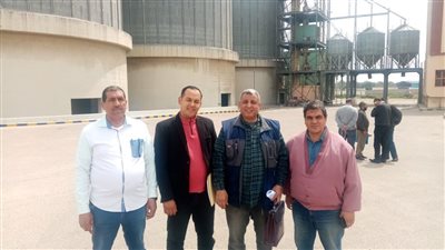 تموين الإسكندرية تستعد لإطلاق أطول موسم لتوريد الأقماح المحلية