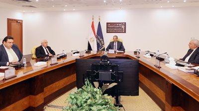 وزير الاتصالات: خطة لتطوير البنية التحتية للاتصالات بقرى مبادرة 