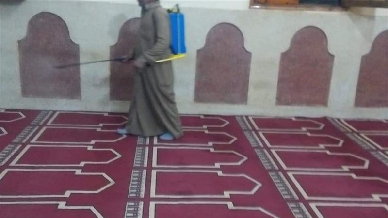 جانب من حملة التطهير