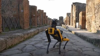 الشرطة الإيطالية تستعين بكلب ألي لمراقبة مدينة مهجورة