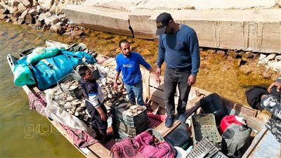 ضبط 4 أطنان من الأسماك الطازجة خلال وقف الصيد ببحيرة ناصر في أسوان |صور