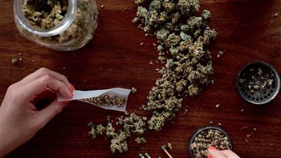 تعرف على حالات جلب المخدرات وتصديرها وفقا للقانون