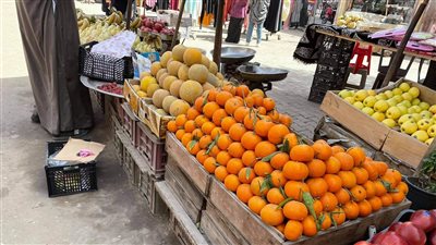 اسعار الفاكهة اليوم الثلاثاء 5-4-2022 في مطروح