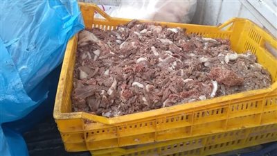 غلق وتشميع مطعم شهير بالجيزة| فيديو