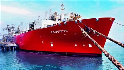 تداول 17 سفينة بموانئ بورسعيد 