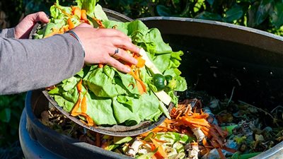 مصير الطعام المتبقي لدى المطاعم والفنادق وفقا لمشروع قانون 