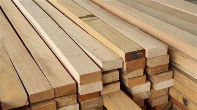 شعبة الأخشاب تنفي تراجع الأسعار داخل الأسواق