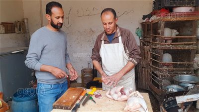 بعد ارتفاع أسعار الدواجن..