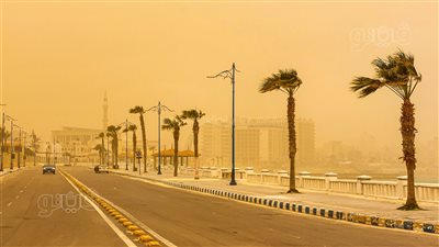 رياح ترابية شديدة وارتفاع درجات الحرارة في مطروح|فيديو وصور