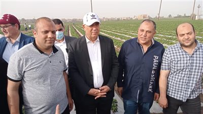 وزير الزراعة يزور مزارع الفراولة والبطاطس بالري الحديث بالطويلة.. والشربيني: توفر 33% من تكلفة الزراعة