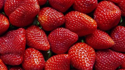 بيان عاجل من الحكومة بشأن الفراولة 