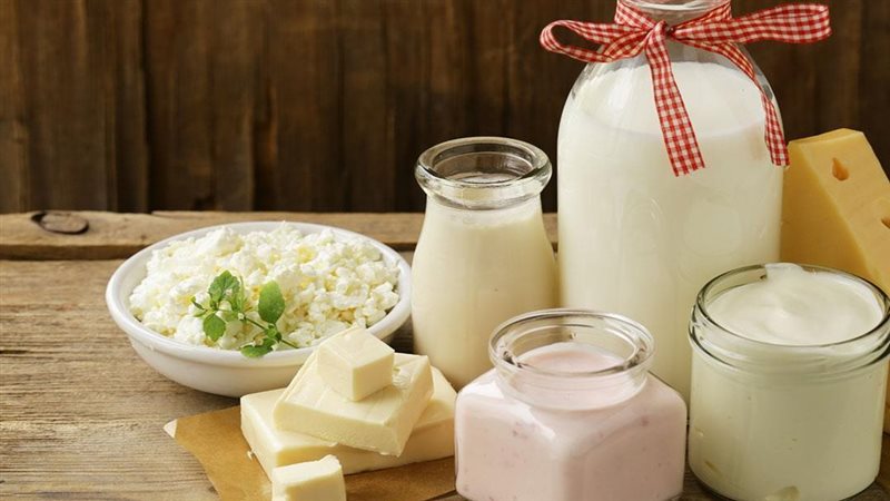 أسعار الألبان اليوم