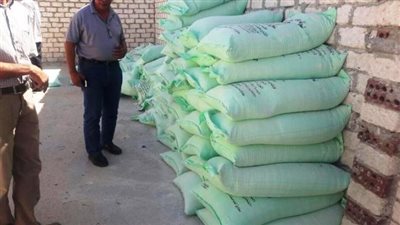 تحرير 100 محضر تمويني بالمخابز البلدية في بني سويف