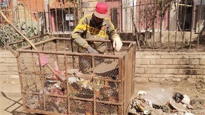 تفاصيل حملات النظافة بشوارع وميادين الدقهلية | صور 