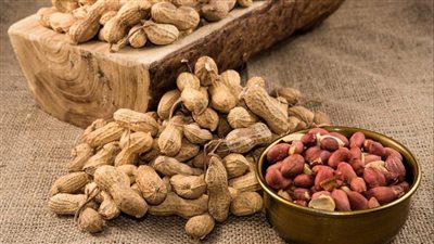 الفول السوداني بديل المكسرات الأرخص يعالج الأنيميا ويحمي القلب والدماغ