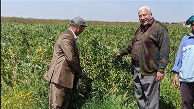 رئيس جامعة مدينة السادات يتفقد مزرعة الجامعة