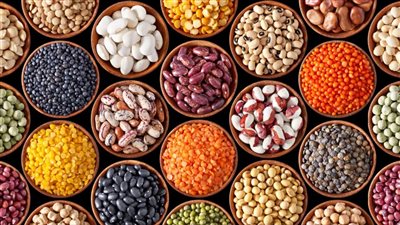 أسعار البقوليات اليوم الأحد 10-4-2022 في الدقهلية 