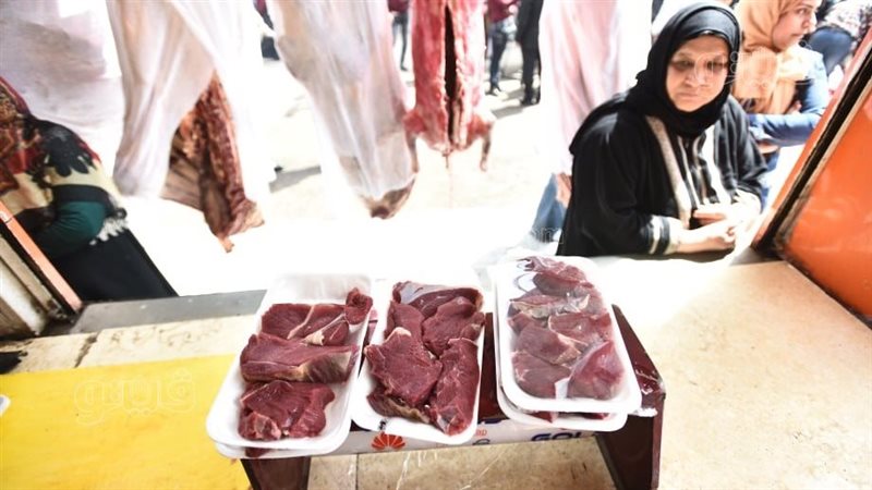 توزيع 15 طن لحوم