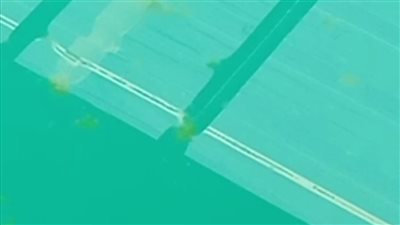 طالبات تربية رياضية بالإسكندرية يطالبن بنظافة حمام السباحة|صور 