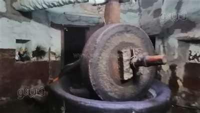 قصص من داخل أقدم معصرة لزيت الخس.. استخدمه الصعايدة بديلا لزيت الطعام| فيديو وصور