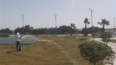 محافظ الإسكندرية يكلف برفع كفاءة الحدائق العامة وزيادة المسطحات الخضراء