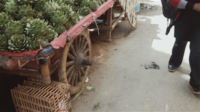 ضبط مطبعة بدون ترخيص لطباعة العلامات التجارية بدون تفويض بالإسكندرية 