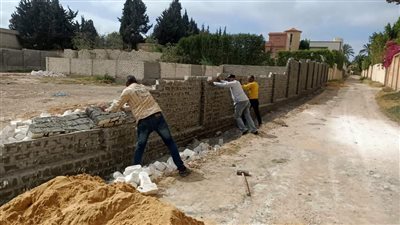 عمال حي العامرية يزيلون سور مخالف بأيديهم | فيديو