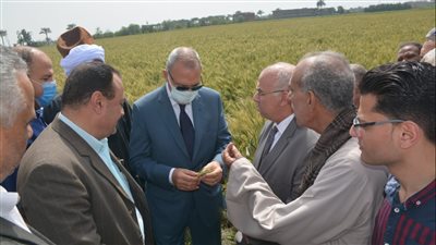 محافظ القليوبية يلتقي عددا من المزارعين لحثهم على توريد القمح 