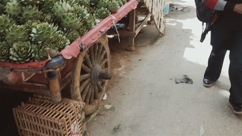 ضبط مطبعة بدون ترخيص