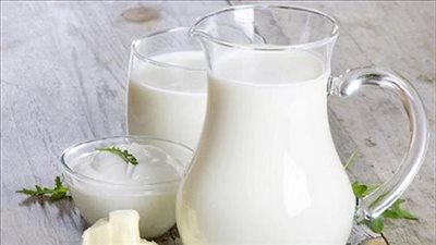 أسعار الألبان اليوم الثلاثاء 12-4-2022 في الدقهلية