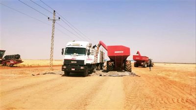 محافظ أسوان يجري زيارة مفاجئة للمطاحن والصوامع |صور 