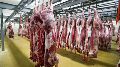 نقل الأمراض للإنسان.. طبيب بيطري يحذر من خطورة ذبح الأضحية خارج المجازر الحكومية