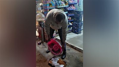 تموين الشرقية: ضبط 20 صفيحة جبنة غير صالحة للاستخدام في ههيا 