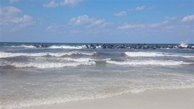 جمعية 6 أكتوبر تطلب من محافظة الإسكندرية استلام شاطئ النخيل وإدارة المدينة | مستند 