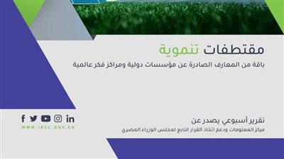 معلومات الوزراء يرصد تجارب الصين لزراعة الأرز الهجين ومخاوف العالم بسبب دلتا كرون