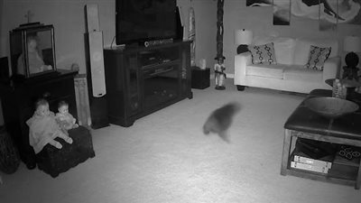 زعمت أنه شبح.. عائلة تصور جسما غامضا يتحرك في منزلها