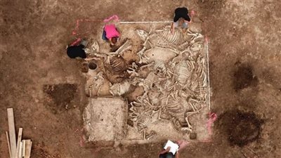 العثور على قبر عمره آلاف السنين في ألمانيا