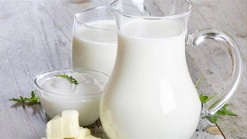 أسعار الزبادي والالبان