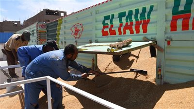 توريد 735 طن قمح خلال الأسبوع الأول لبدء الموسم بقنا  | فيديو