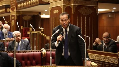 النائب محمد حلاوة: التوسع في تنظيم المعارض للتخفيف عن كاهل المستهلكين