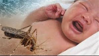 زيكا يضرب من جديد.. المتحور الجديد ينتقل عن طريق الاتصال الجنسي.. والبعوضة المصرية أبرز أسباب العدوى