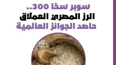 سوبر سخا 300.. الرز المصري العملاق حاصد الجوائز العالمية| إنفوجراف
