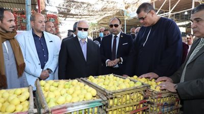 محافظ القاهرة يتفقد سوق ساحل أثر النبي للغلال والخضروات والفاكهة
