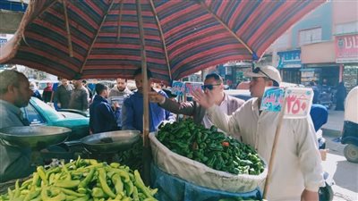 التحفظ على 10 أطنان مواد غذائية وإحالة 76 محضر مخالفات للنيابة العامة في الدقهلية 