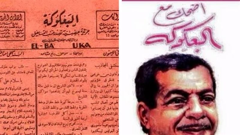 غلاف البعكوكة فى