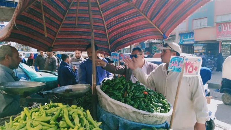 حملات تموينية بالدقهلية