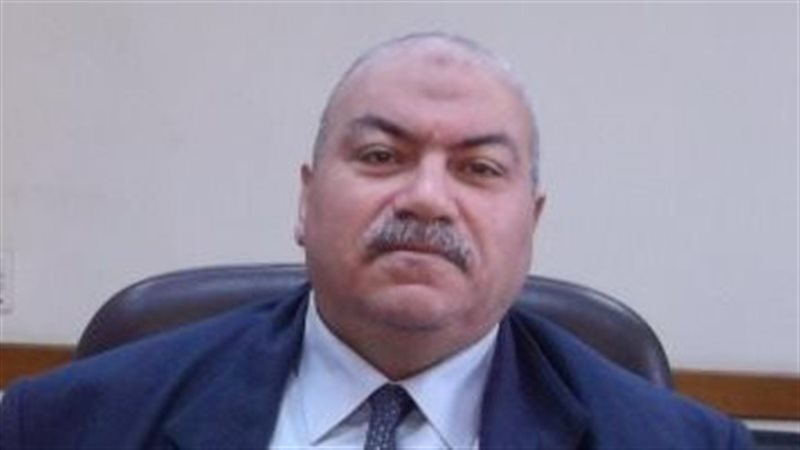 المستشار هشام فاروق،